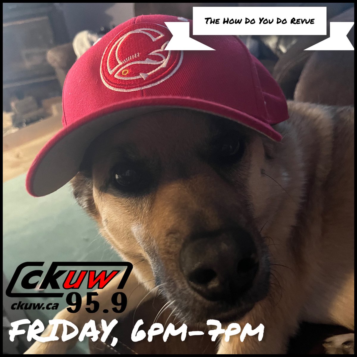 HowDoYouDoRevue's tweet image. Back on the air tonight! This week, Bourbon says it’s songs about beer league baseball (we have a tournament this weekend in Churchill), some brand new tunes, and the Croaky Crooner is back!

Join us at 6pm on @ckuw 95.9 FM in Winnipeg, ckuw.ca everywhere else!