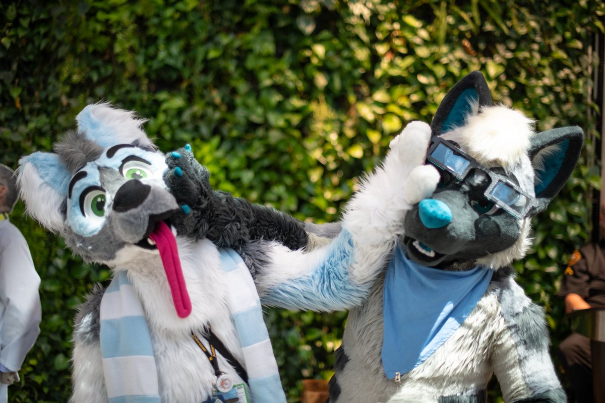 Hoppin' n Chompin' tweet media