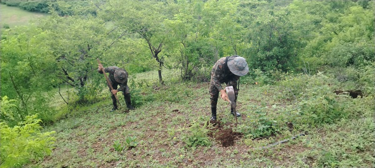 Ejercito_GT's tweet photo. Cuidar el medio ambiente es responsabilidad de todos. 🌎🌳

Tercera Brigada de Infantería del #EjércitoGT, realizó jornada de reforestación sembrando 150 árboles en el departamento de #Jutiapa.
#GuatemalaSaleAdelante https://t.co/jhdOsnbJbt