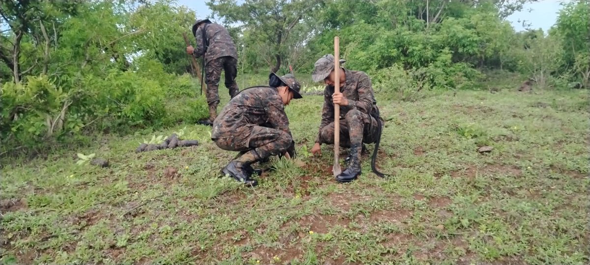 Ejercito_GT's tweet photo. Cuidar el medio ambiente es responsabilidad de todos. 🌎🌳

Tercera Brigada de Infantería del #EjércitoGT, realizó jornada de reforestación sembrando 150 árboles en el departamento de #Jutiapa.
#GuatemalaSaleAdelante https://t.co/jhdOsnbJbt