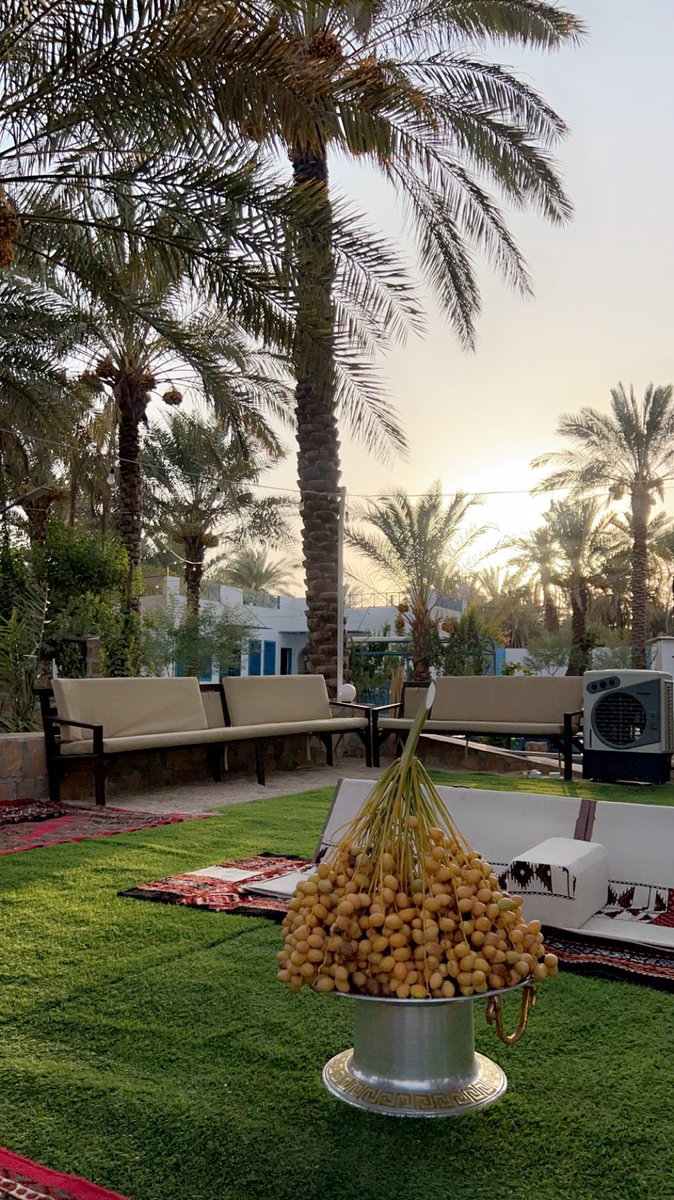 "نفيءُ إلى الطبيعة بأنفاسها الخالدة ؛ نستجمعُ بها ما تفرق من شتات الروح".

#مزرعة_سمحه_الحائر