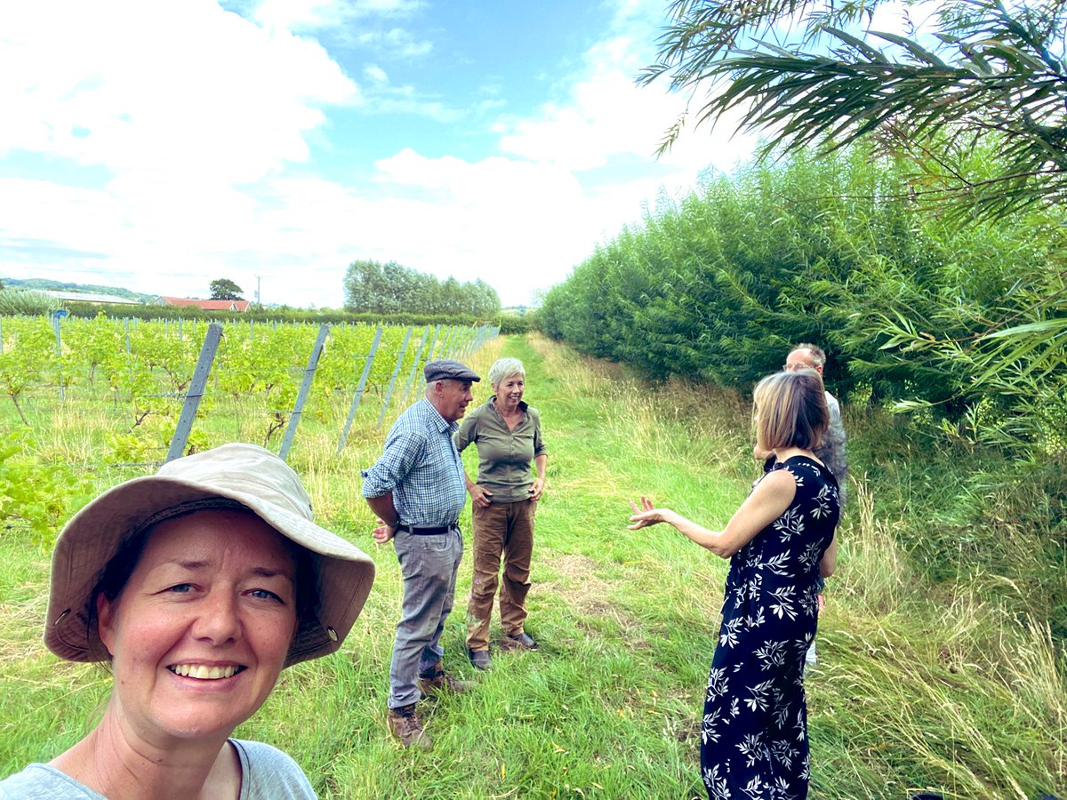 Exciting afternoon as the producers of BBC radio 4 ‘On Your Farm’ pay the vineyard a visit!

All will be revealed soon but it involves our new still rosé label!

#wine #englishwine #soundscape #label #design #farming #bristol #somerset 
<a href="/SybilRuscoe/">Sybil Ruscoe</a> <a href="/theMaggieAyre/">Maggie Ayre</a> <a href="/eberlin/">eberlin</a>
