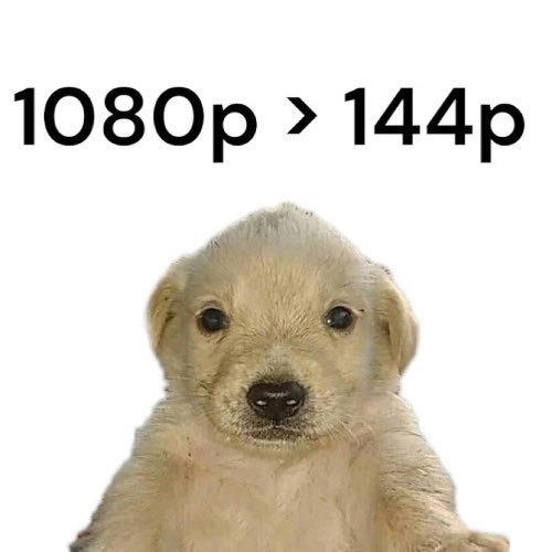 1080pdog's tweet photo. @blknoiz06 $1080PDOG This dog can be seen very well

8LC43BccW9zcwEa8r8wLhrm4thqJ9bpT1GhSwNNWpump https://t.co/dnEHk5GuMc