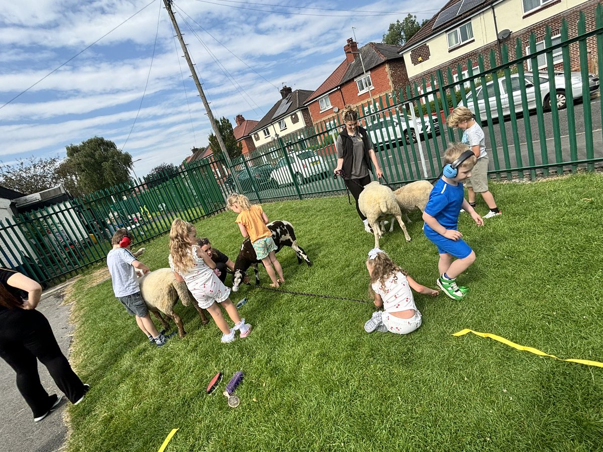 Sheep visit today #haf2024 #stockport #inclusion #send <a href="/StockportMBC/">Stockport Council</a> <a href="/educationgovuk/">Department for Education</a>