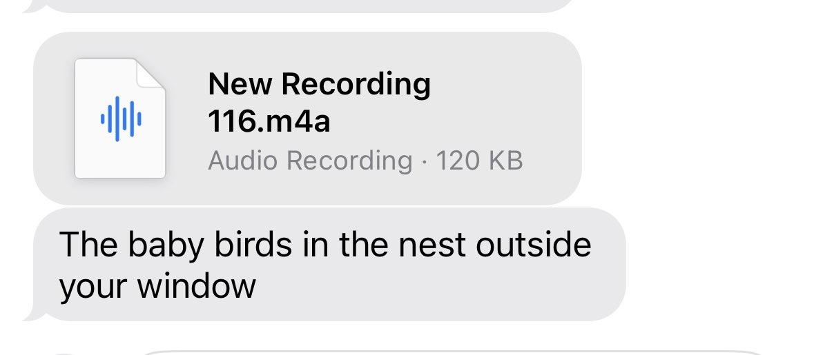 jzux's tweet photo. having a mom is so important. how else am I supposed to hear the baby birds in the nest outside my childhood window https://t.co/W0OybMWsPi