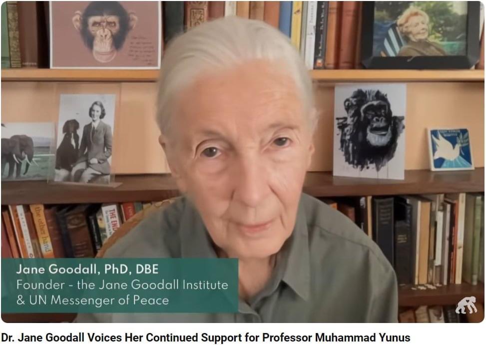 Jane Goodall Institute Italia tweet media