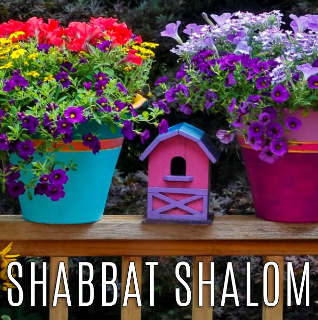 🌞Shabbat Shalom! Have a wonderful long weekend!  Har Zion is PROUD to be warm, welcoming, and diverse! #shabbatshalom #jewishtoronto #reformjudaism #loveandkindness #ourshuliscool #itswhereyoubelong #WeStandWithIsrael #BringThemHomeNow ❤️🧡💛💚💙💜🤎🖤
