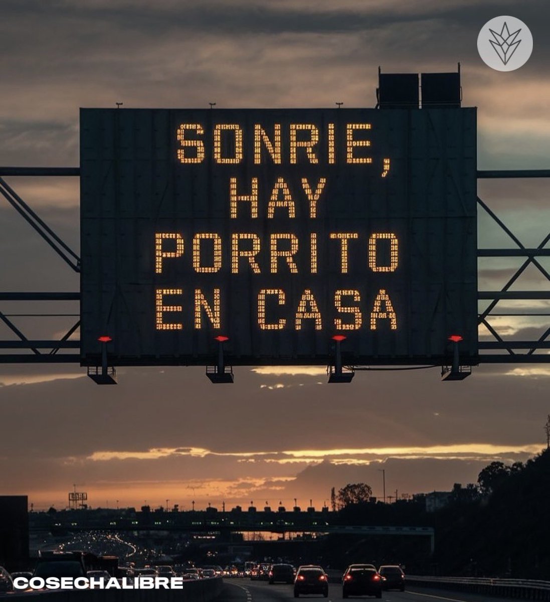 CosechaLibre's tweet photo. Dale que es Viernes 🥳 https://t.co/STF7nxAC3q