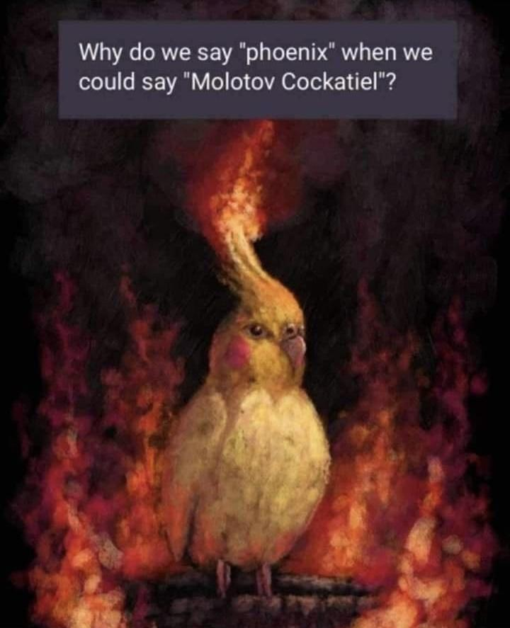 if i had to see this and groan at the pun so must you all
