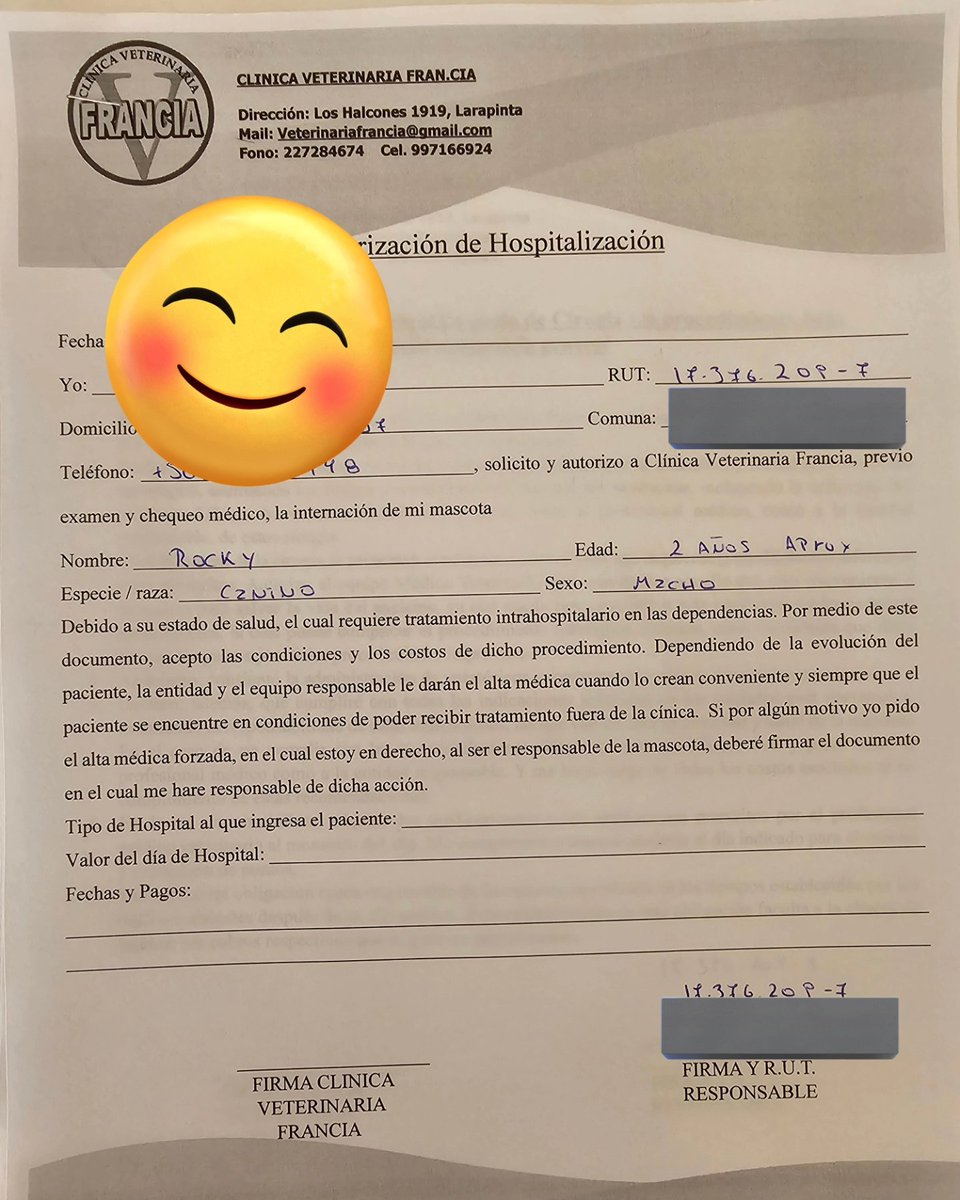 Solange Palacios 🐾💕 tweet media