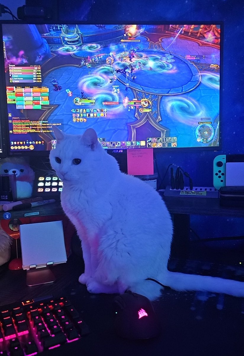 JessaRoar's tweet photo. HELP @BlizzardCS @Blizzard_Ent 

My 13 year old Kitty Jaina passed away last week, and I wanted to purchase the Jaina statue so she could rest next to it.... but it's the only one not in stock on the Blizzard Gear Store 😭 

Can you help a girl out? 👉👈🩵 https://t.co/I3tiXE2BuZ