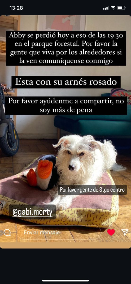petunita30's tweet photo. Se busca , ayudar a difundir gracias https://t.co/NxqKX8ZpCI