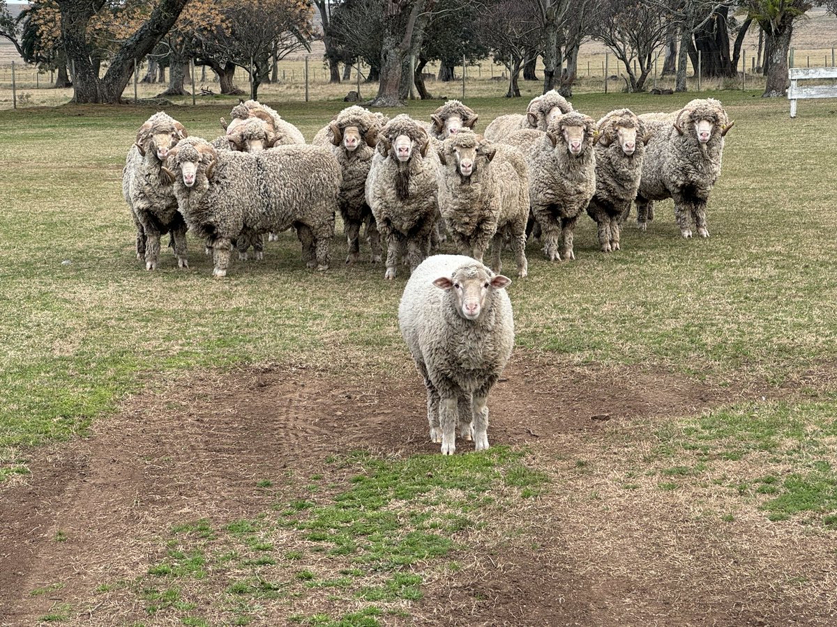 juan jose bazzano (@juanbazzano) on Twitter photo 