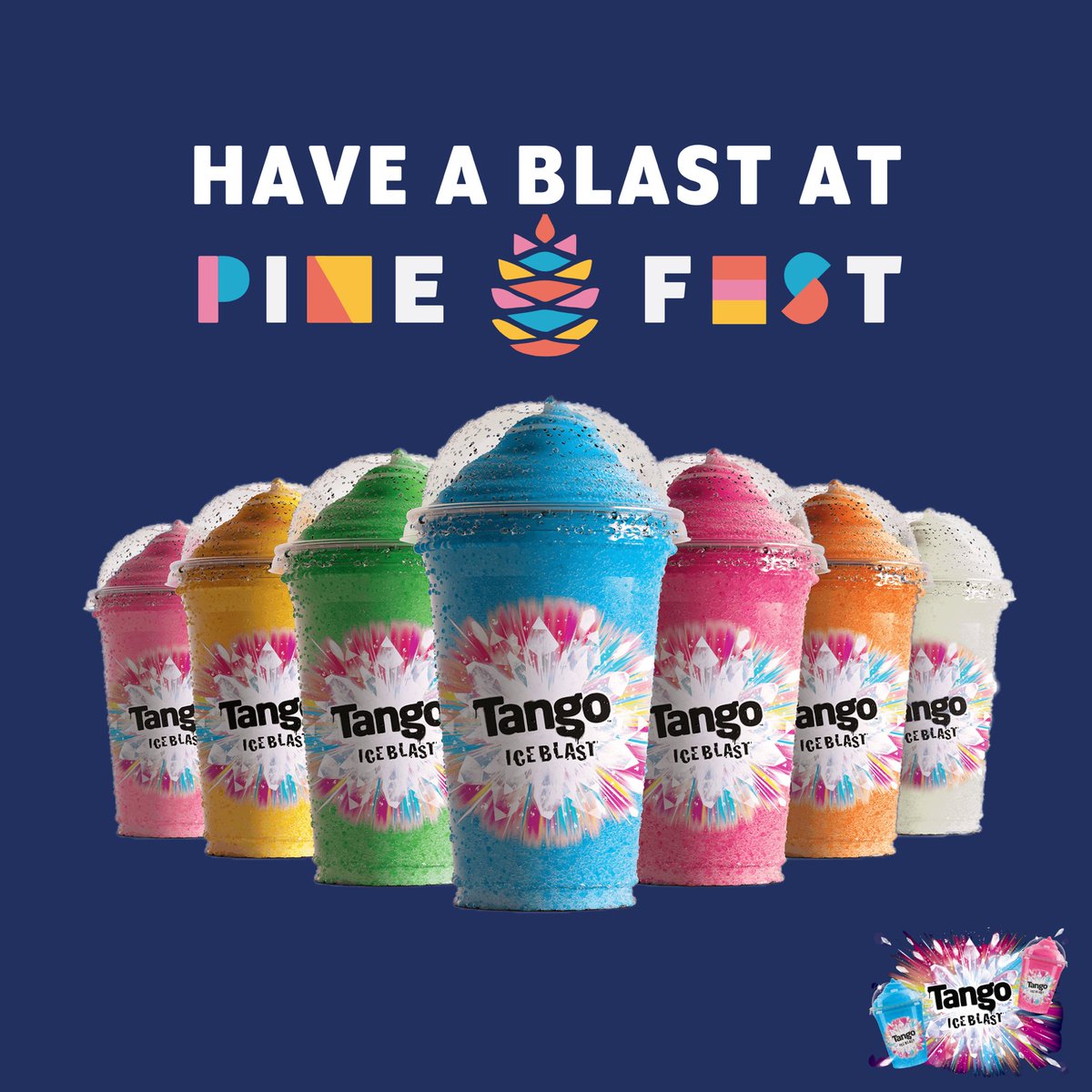 Pine Festival tweet media