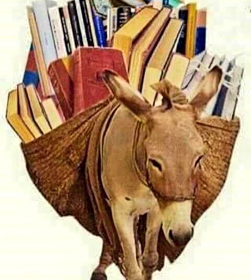 Jannati313's tweet photo. هغه کسان چی علم لری خو عم�� یی نوی په کړی دغه یی مثال دی😓

مَثَلُ الَّذِينَ حُمِّلُوا التَّوْرَاةَ ثُمَّ لَمْ يَحْمِلُوهَا كَمَثَلِ الْحِمَارِ يَحْمِلُ أَسْفَارًا ۚ"💯 https://t.co/qIDbIjFwP0