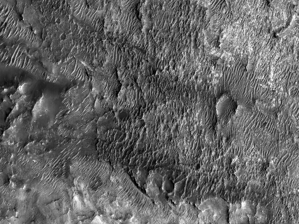 HiRISECatalan's tweet photo. Dunes de sorra fina amb crestes

número: ESP_040312_1590
data d’adquisició: 03 març 2015
altitud: 255 km

https://t.co/Q0pevuUKWL
NASA/JPL-Caltech/UArizona
#Mart #NASA #Catalan #Català #ciència https://t.co/MRTqunKJp6