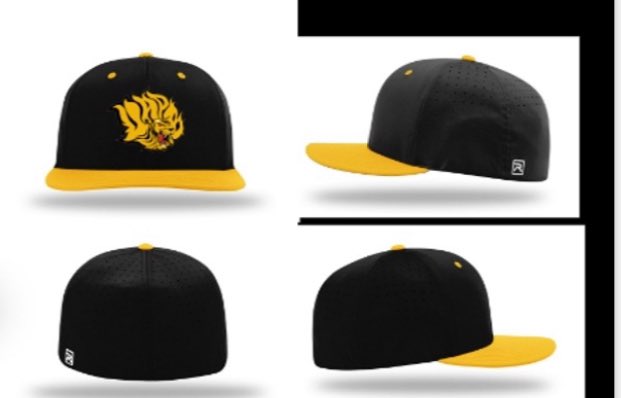 LoganStout's tweet photo. New season. New staff. New uniforms. New schedule. New roster. And new HATS! We want all of @UAPBLionsBSB @UAPBLionsRoar @uapbinfo @ThePRIDE2k18 to have a voice as the hats WILL be available for purchase! Comment below with your favorite(s) of the 3 options below! #OneTeamOneRoar https://t.co/alRZ94bClj