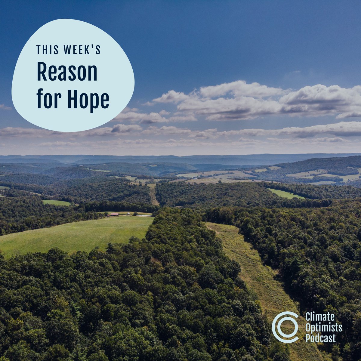 ClimateOptimistsPodcast tweet media