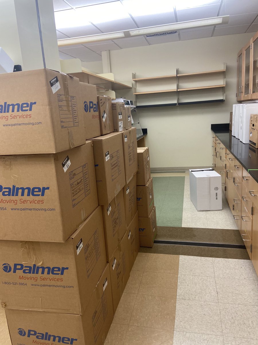 Francesca Luca tweet media