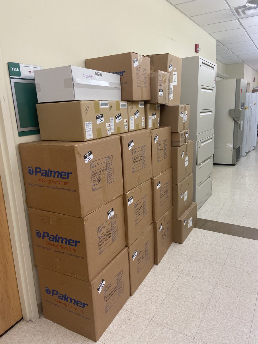 Francesca Luca tweet media