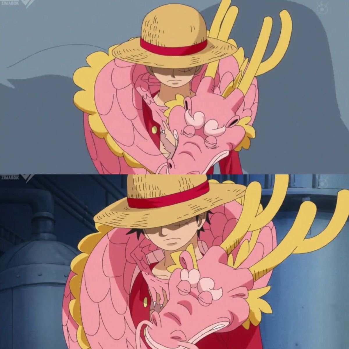 Hourly Momonosuke (@dlymomoo) on Twitter photo 