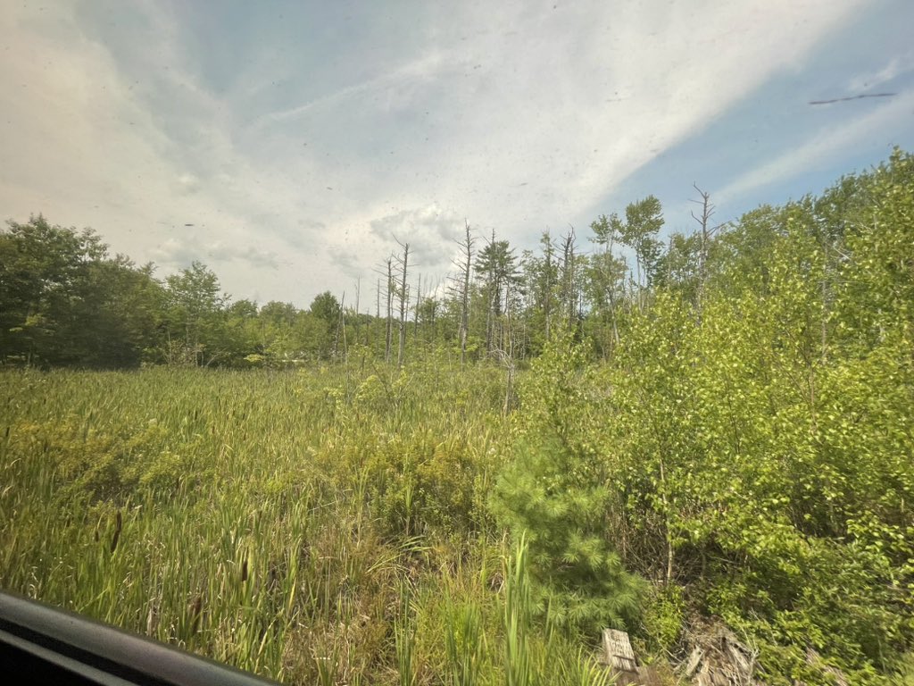 PKDinerUSA's tweet image. Wells, Maine. ❤️🇺🇸
#Maine #Amtrak #Downeaster