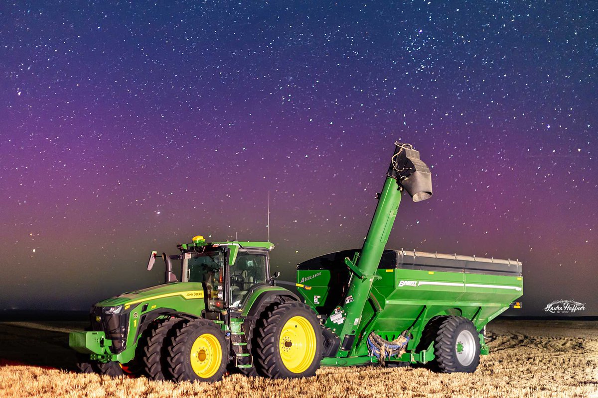 Laura Boroughs-Haffner tweet media