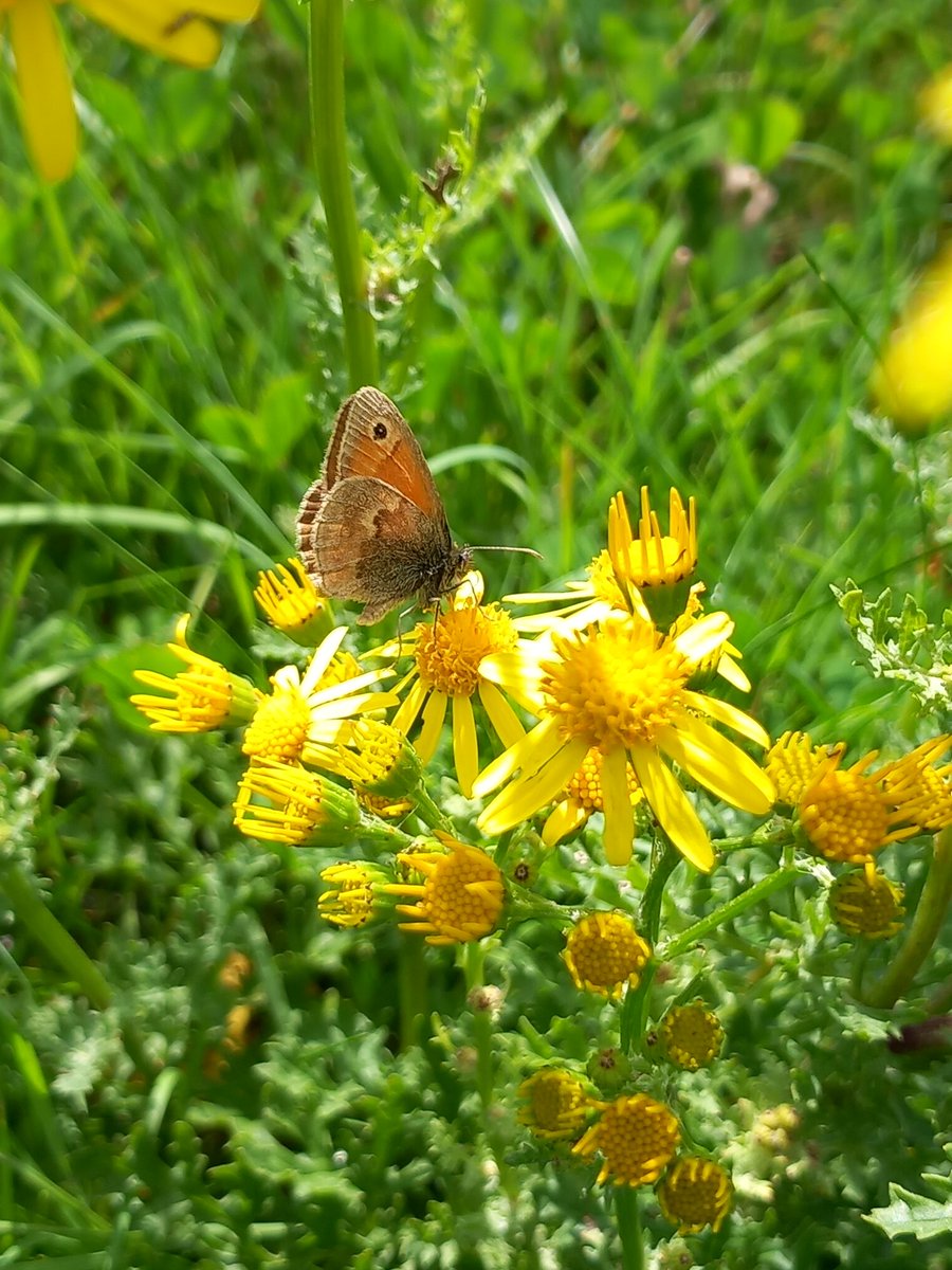 Vikki Rose tweet media