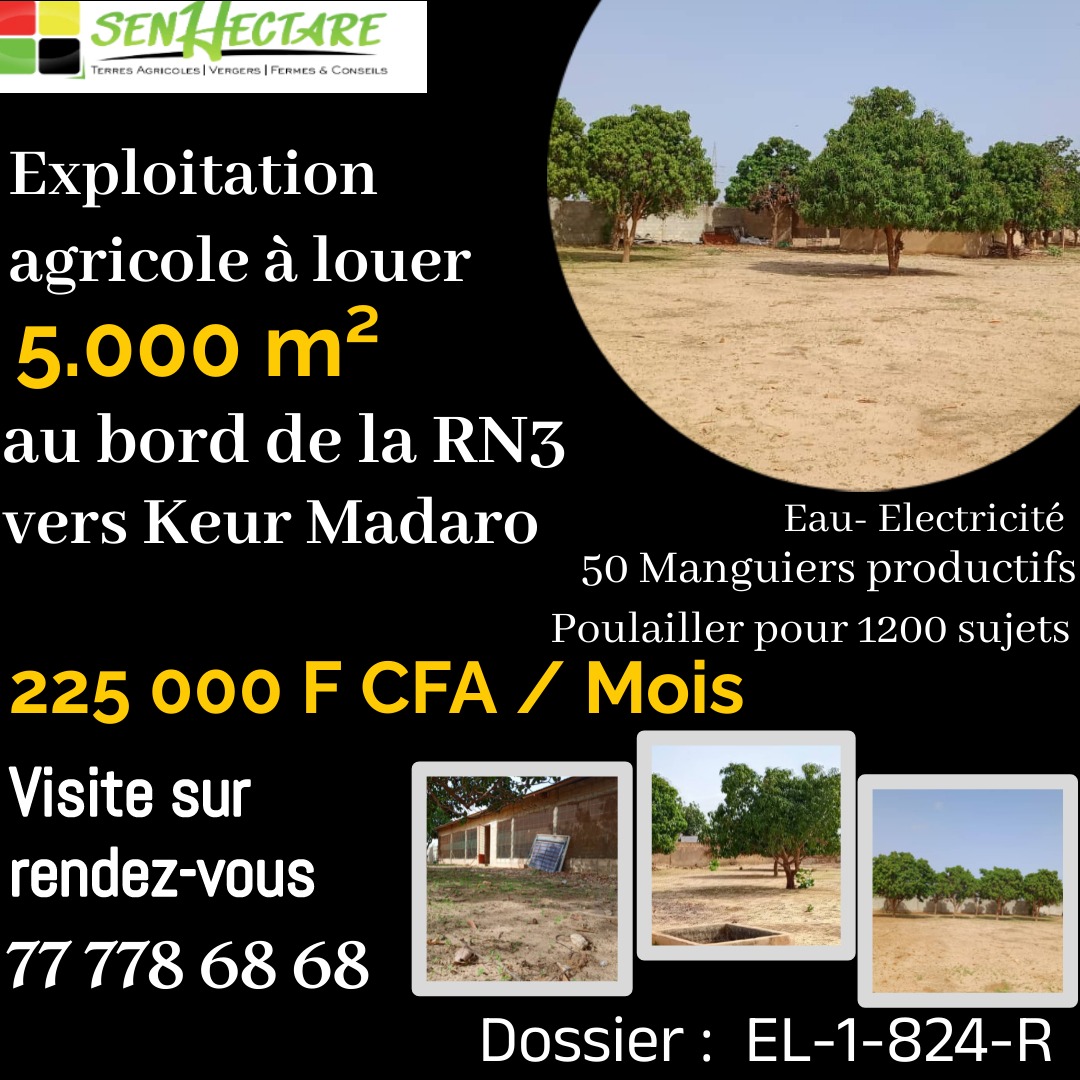 senhectare's tweet photo. Une #Opportunité à saisir #Exploitation #agricole à #louerPlus de #description👉: https://t.co/BnOd4bTuAM… #location #opportunities #ferme #avicole #poulailler #immobilier #investissement #investissementagricole #business #manguier #production #Agricultura #Funding https://t.co/SvFi1LOADo
