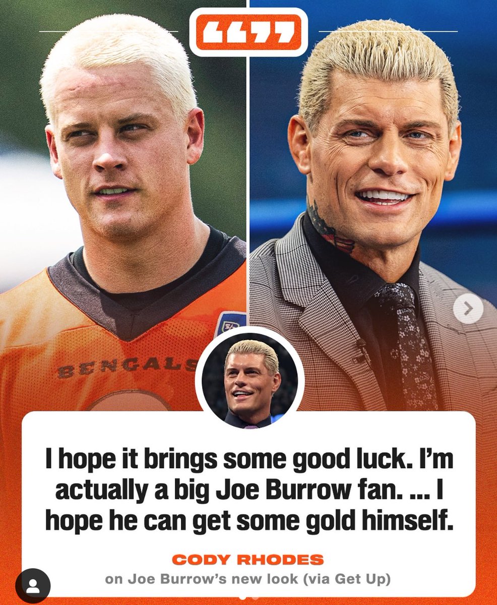 𝒄𝒂𝒕 🐅 tweet media