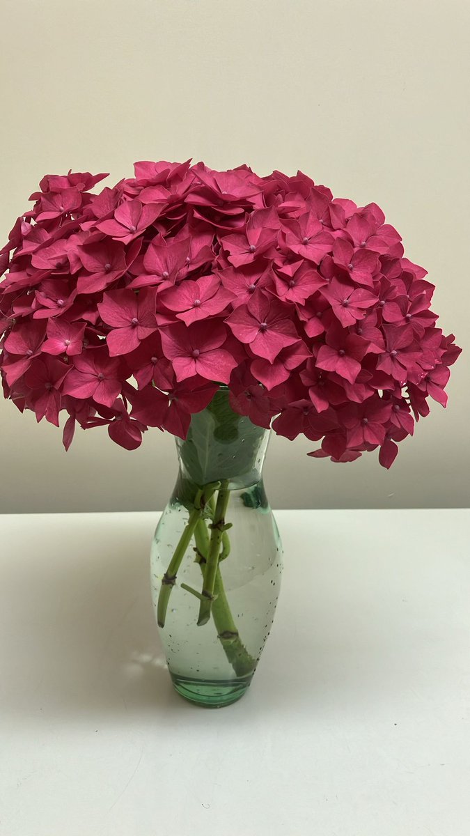 Sheraz Ahmad @Barnsley St NMHC tweet media