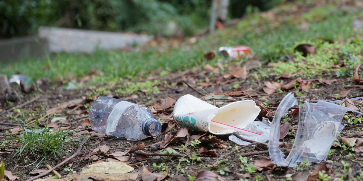 At this time of year, I often receive questions and concerns about litter in parks. Did you know you can report issues online for Town staff to address? Click to report issues with park maintenance,  lighting, vandalism and more. 
whitby.ca/en/live/report…