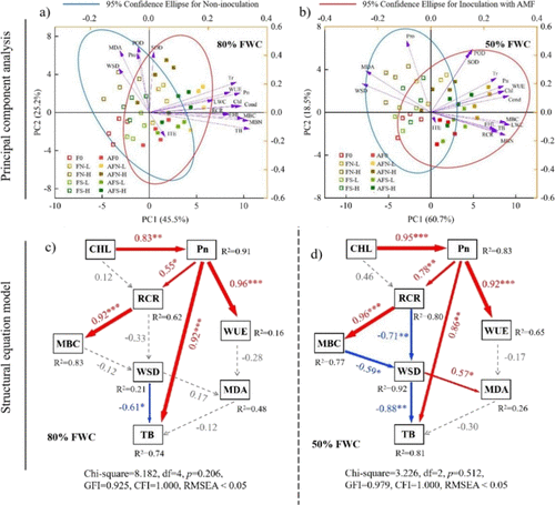Chen_yinglong's tweet image. Our research shows #iron #nanostructure primes #mycorrhizal symbiosis connecting maize leaf #photosynthesis via a #nanofilm effect, providing the insights into the fundamental knowledge of #nanoagriculture
pubs.acs.org/doi/full/10.10…

@UWAresearch @IOA_UWA @SAgE_UWA @Stressed_plants