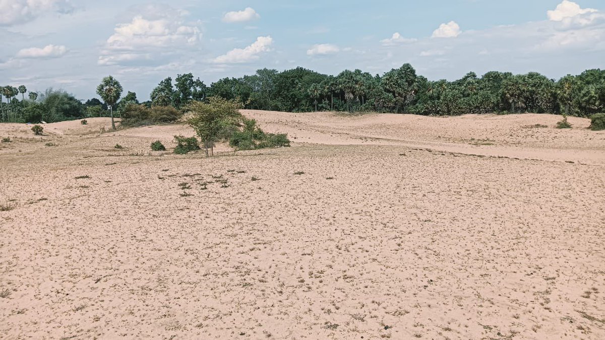 R_a_m_kumar56's tweet photo. Save our village and the lives of our people from the brink of destruction.Our village, Edakudi, is located in Thanjavur dt, Papanasam taluk, Thiruvaikavur- 612301 @polimernews @CMOTamilnadu @drramadoss @ThanthiTV @Udhaystalin @News7TamilAgri @annamalai_k @mkstalin @EPSTamilNadu https://t.co/REiBgqmvtD