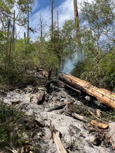 CoronadoNF's tweet photo. Final Update
Clark Fire, Safford Ranger District
100% contained
Single Tree
Cause: Lightning Strike
Start Date: 8/1/2024
The Safford Ranger District responded and contained the single start the same day. If additional smoke appears they will reinitiate response efforts. https://t.co/ue7ueU1Nsf