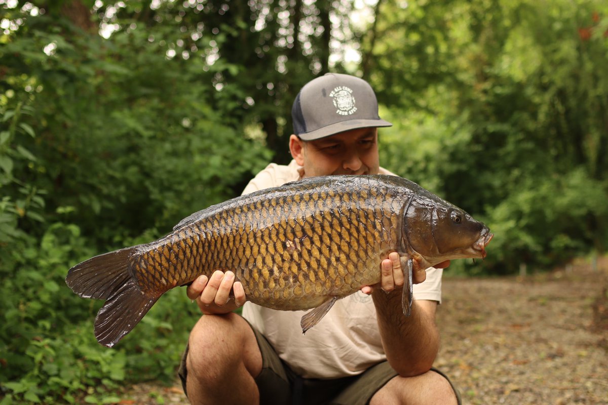 Ash_Lorraine1's tweet photo. This cool dude saved the day for me proper pristine common 

#dnabaits #secret7 #redefiningquality #theinstantbait #carp #carpfishing #catchandrelease #carpy #carphunter #carpyness #carpangler #carplife #fishinglife #fishing #karpfen https://t.co/73sWb2tAM7