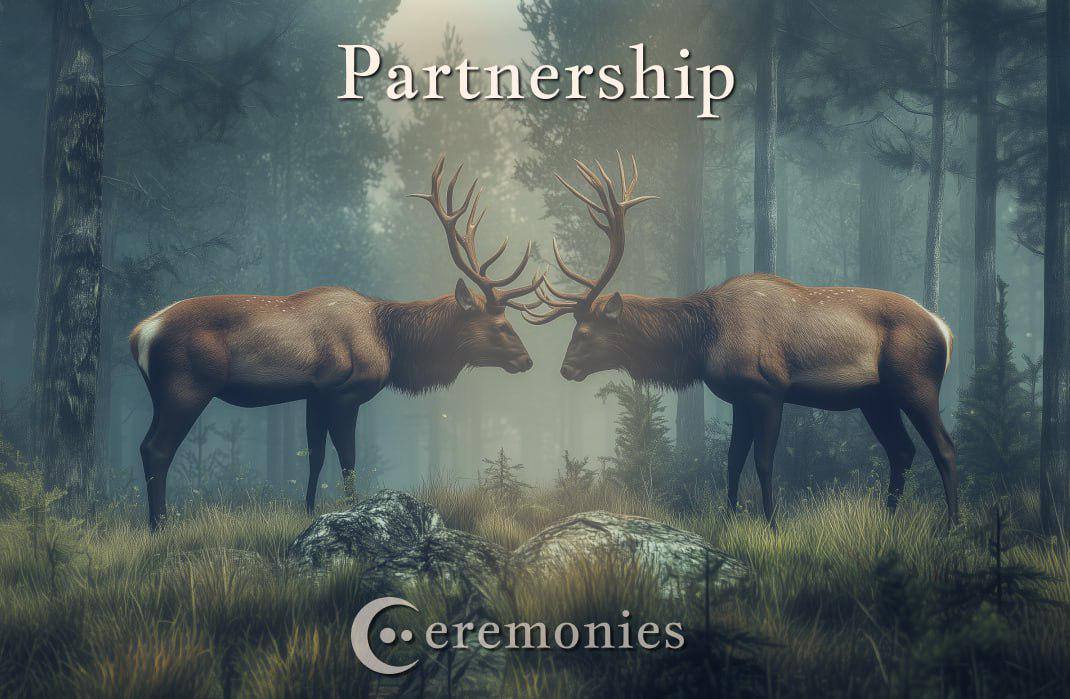 Partnership Announcement: $SAGE x $zKML

We are pleased to announce our debut partnership with <a href="/ZKMLsystems/">zKML</a>

As our first partner, #zKML embodies the strong alignment of our shared values of privacy and commitment to decentralized solutions.

Welcome to the future of