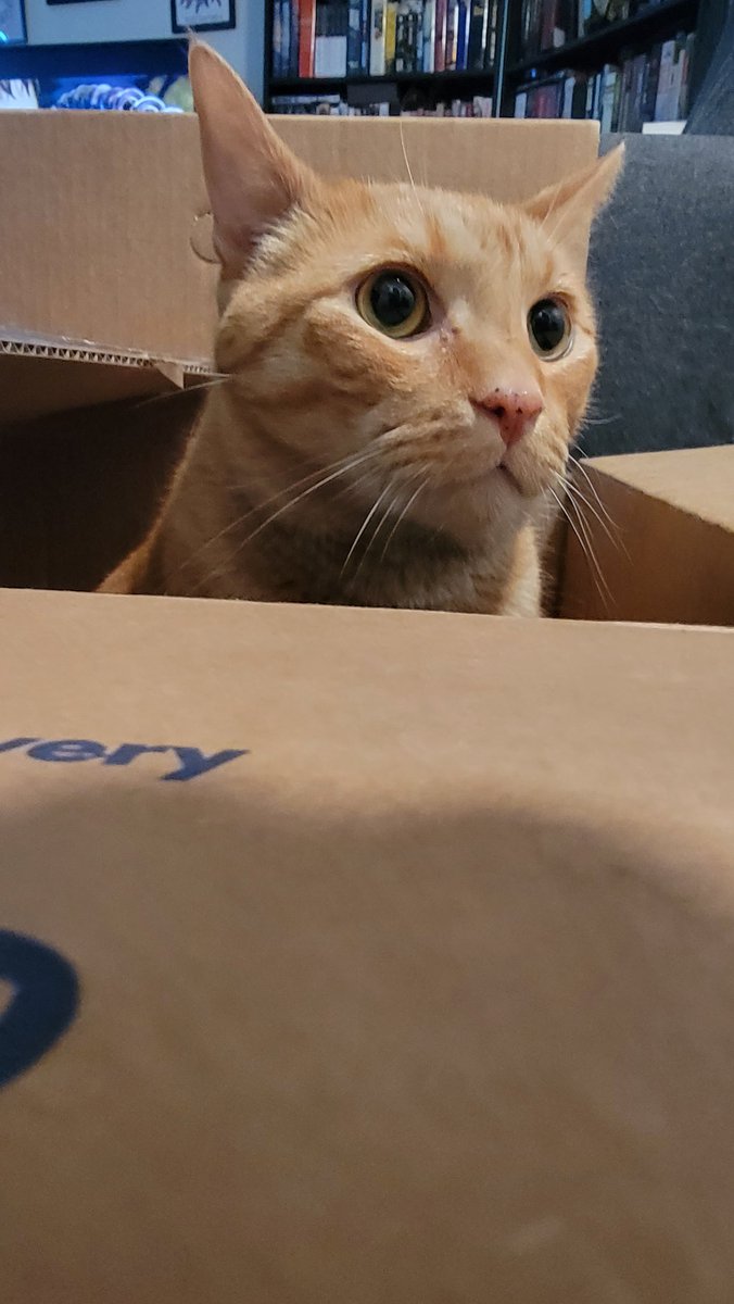 Hafatam1's tweet photo. BOX!!
#ihasbox #willnotshare #isbigbutnoshare #ash @KrimsonRogue https://t.co/WQzK8ypyyx