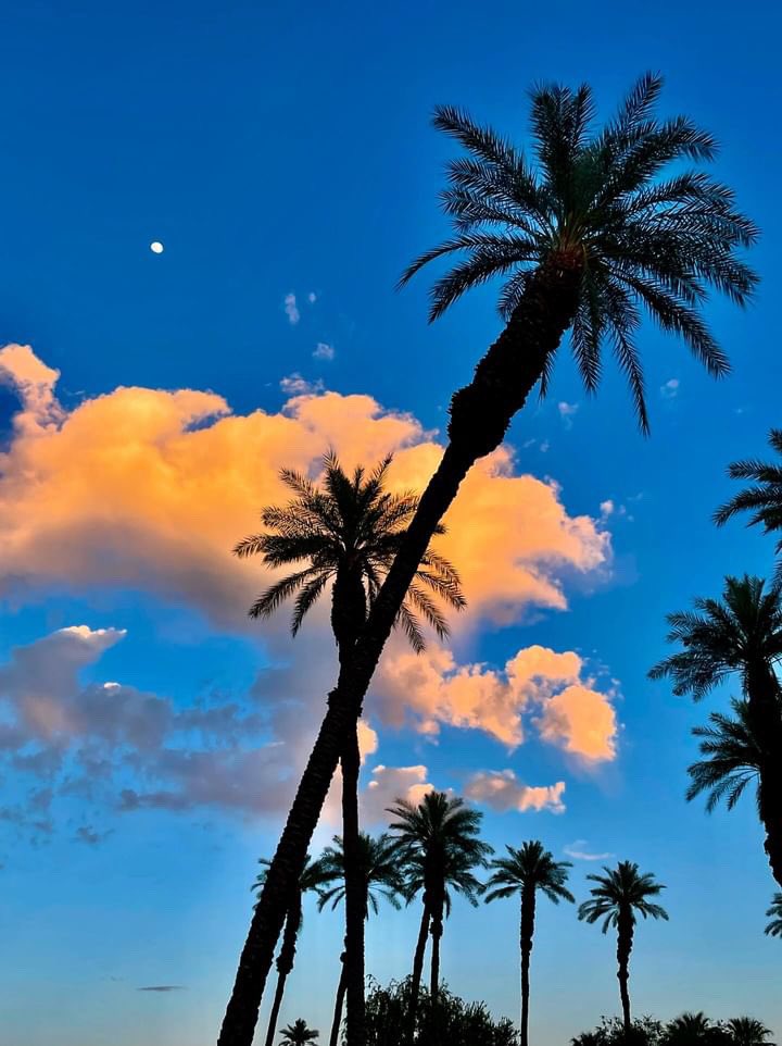 Rancho Mirage 
Coachella Valley Photo! - by spangelo