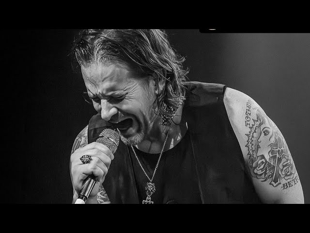 New Classic Rock in North America tweet media