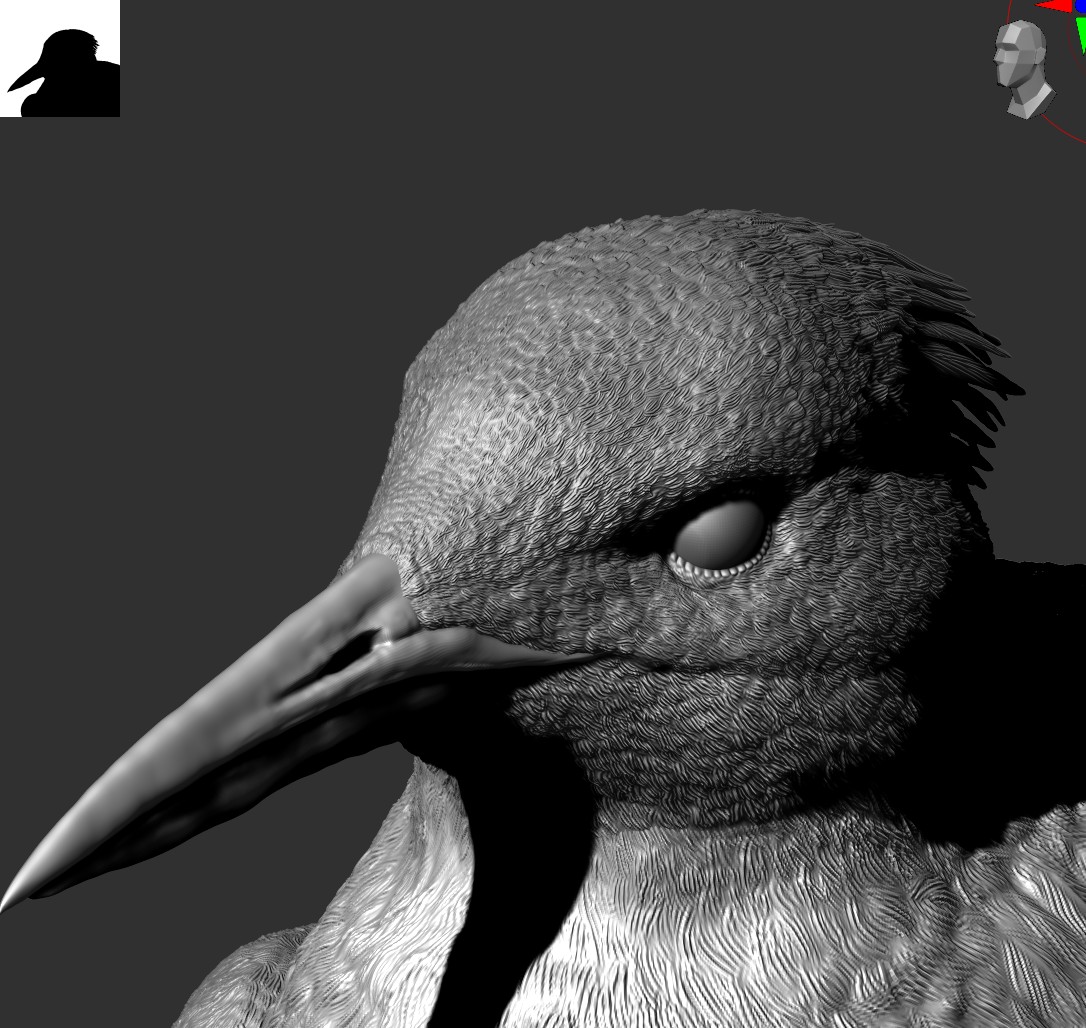 neweyear's tweet photo. #鳳頭燕鷗 #黑嘴端鳳頭燕鷗 #神話之鳥 #Thalasseusbergii #Bergii #CrestedTern https://t.co/AfZwlXNbVm