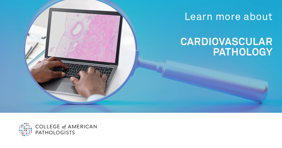Pathologists's tweet photo. Are you interested in specializing in #cardiovascularpathology but want to know more? Take a peek at the new Cardiovascular Pathology subspecialty page and learn about what training entails, typical case volume and a day in the life.
Learn More: https://t.co/dAA26zlTSD https://t.co/gPNagPWl9j