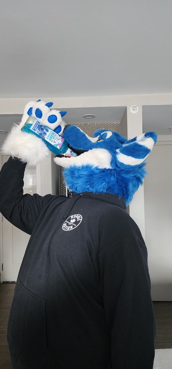 PolerWusky's tweet photo. Con hotel room things 🥳 https://t.co/GgrO08nfZw