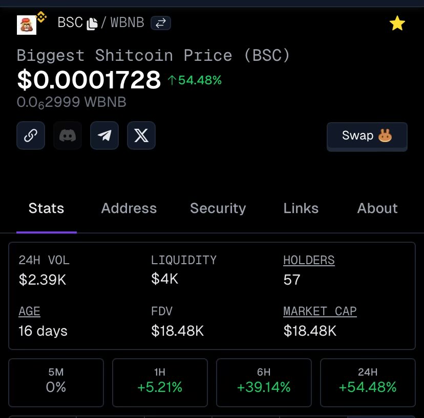 Just doing our #shitcoin thing on #BNB. Nothing to see here.

$BSC #biggestshitcoin