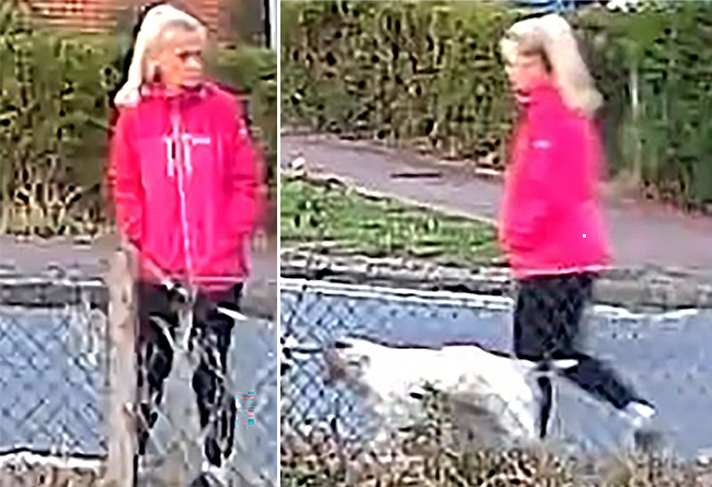 SuffolkPolice's tweet photo. This is the missing pink zip-up jacket police believe the victim of an attempted murder in #Brantham was wearing immediately prior to the incident. The 57-year-old remains in hospital in a critical condition.  Police continue to appeal for information
https://t.co/Wy25WRpsqc https://t.co/84zJRcklP6