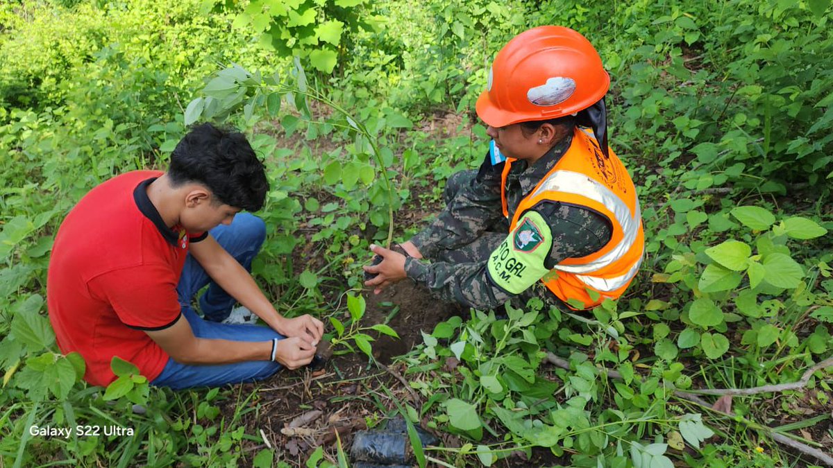 FFAAHN's tweet photo. #CeroDeforestaciónAl2029 🌳
11,700 árboles de diferentes especies fueron plantados por #FFAA a través de unidades del Ejército de Honduras,  Cuarto Grupo Regional Logístico y la Academia Militar Aérea en diferentes sectores del país. https://t.co/bq78Ov1JEy