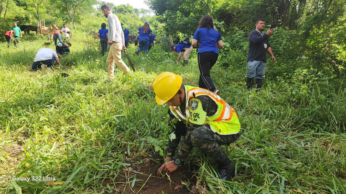 FFAAHN's tweet photo. #CeroDeforestaciónAl2029 🌳
11,700 árboles de diferentes especies fueron plantados por #FFAA a través de unidades del Ejército de Honduras,  Cuarto Grupo Regional Logístico y la Academia Militar Aérea en diferentes sectores del país. https://t.co/bq78Ov1JEy