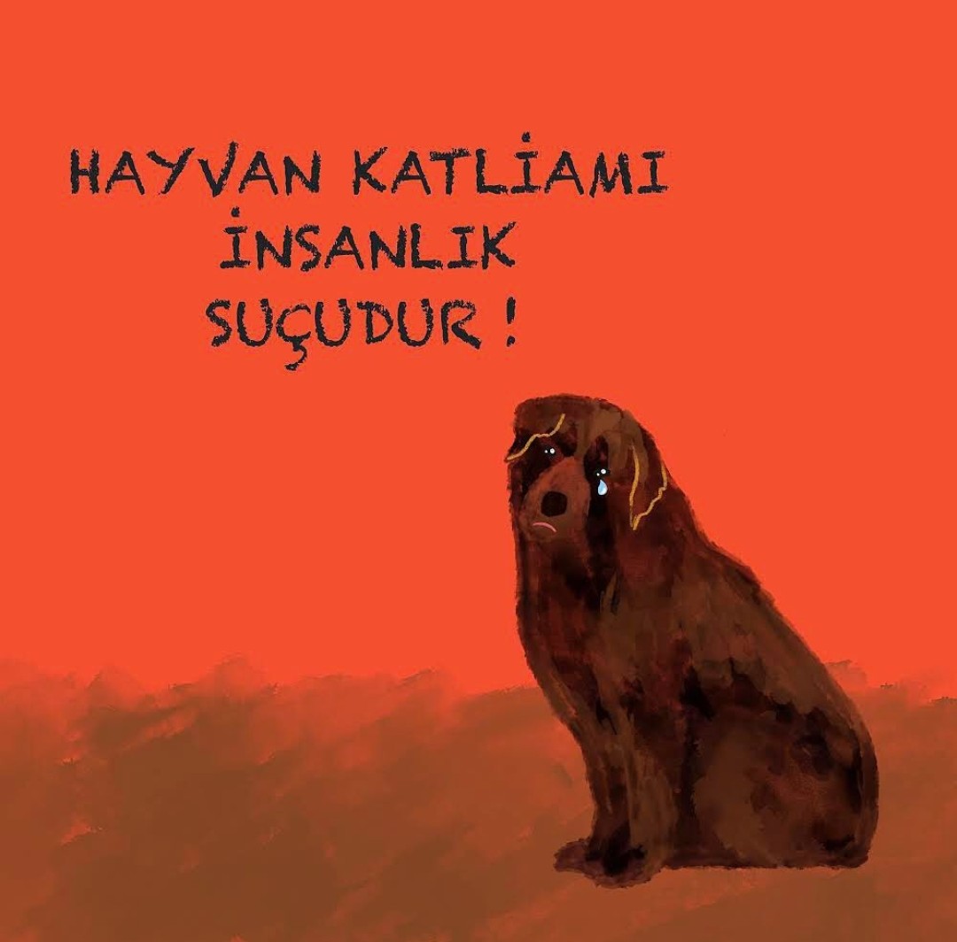 Nurcan Başkavak tweet media