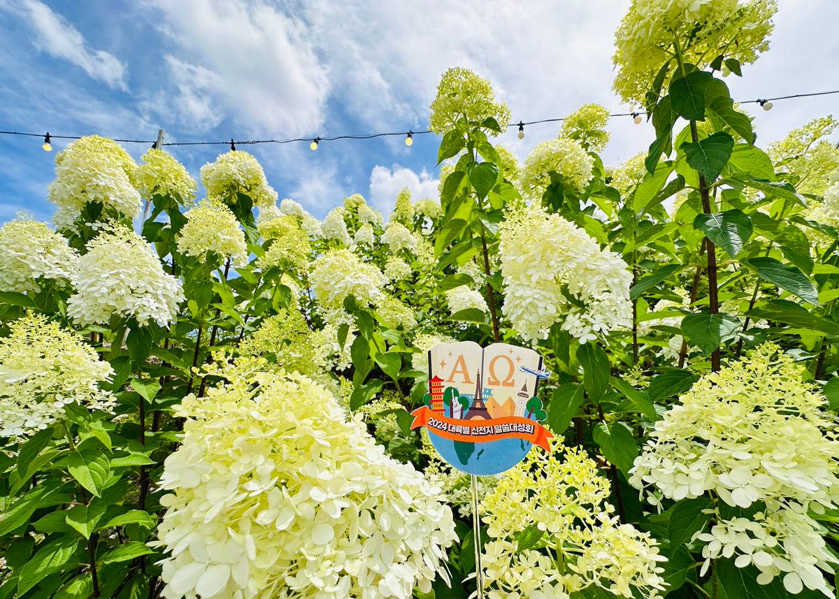 충청데일리-유럽 기독교 재부흥 기반 마련…佛서 말씀대성회 성료 abit.ly/z7wk4a #신천지_예수교회 #2024대륙별 #신천지말씀대성회 #이만희_총회장님 #국제행사 #Europe #유럽 #요한계시록 #계시말씀