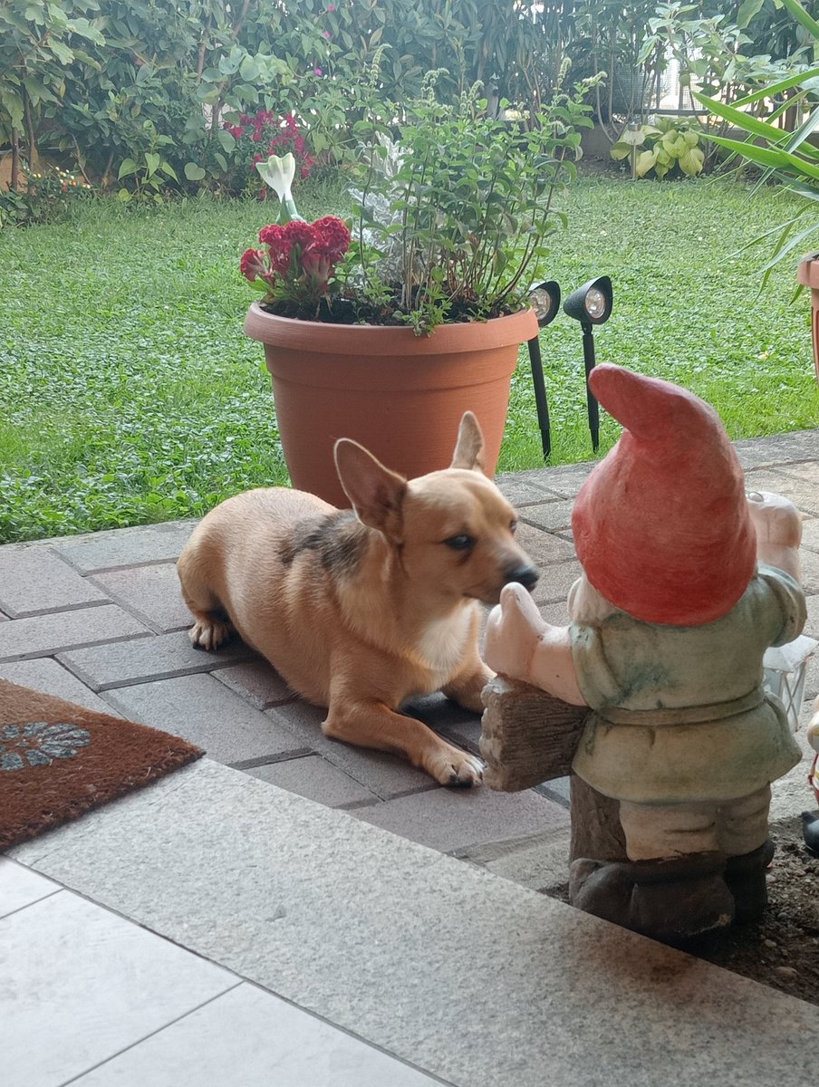 Il Mio 💘❤️ Edo, con un amicone 😜🤣🤣🤣🤣🤣🤣🤣🤣🤣🤣🤣🤣🤣❣️💕💖🎈❤️💘💞
